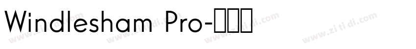 Windlesham Pro字体转换